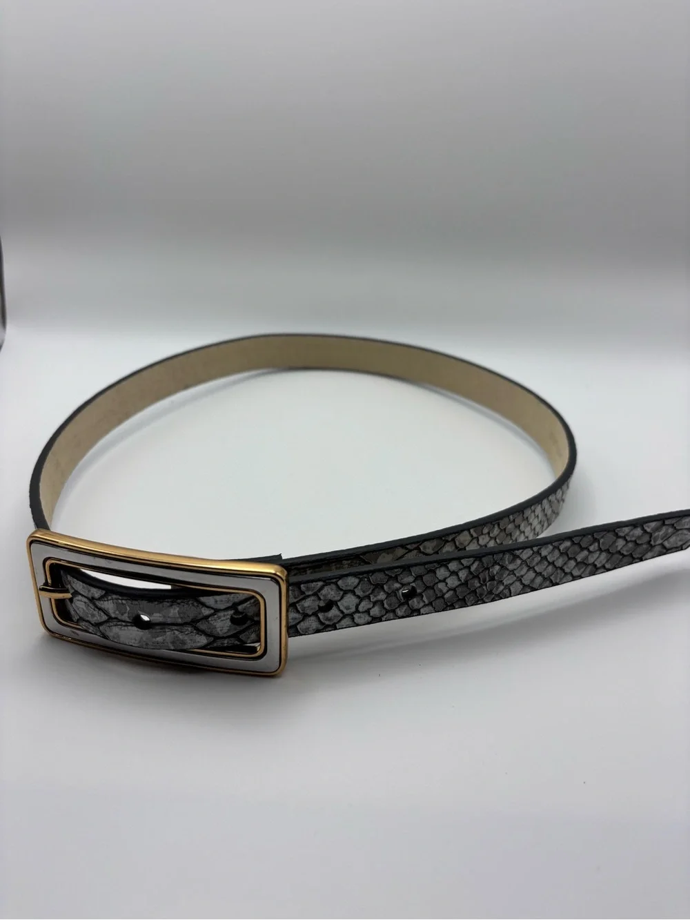 Chico's Gray Snake-Texture Belt with Gold Silver Rectangular Buckle Size M